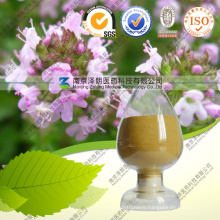 Natural Extract 98% Rosmarinic Acid